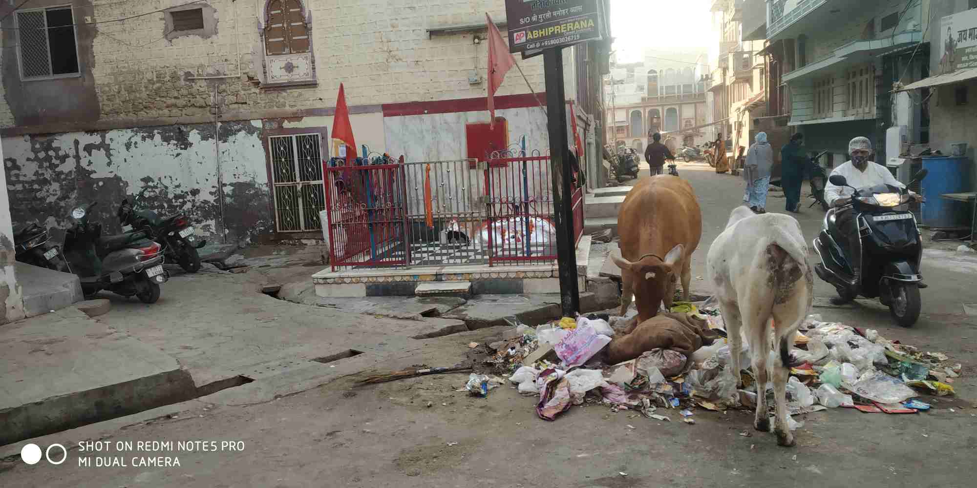 IMG 20201123 WA0093 मंदिर के सामने अकुड़ी Bikaner Local News Portal बीकानेर अपडेट