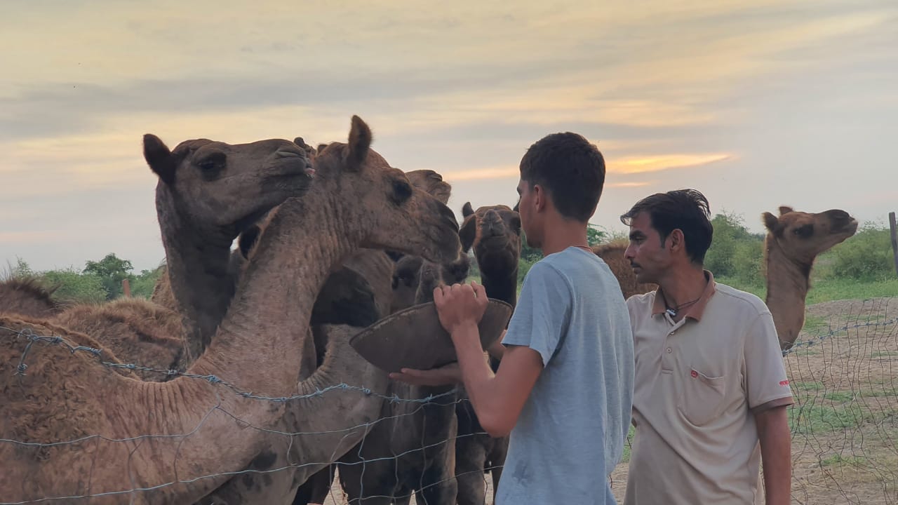 IMG 20210211 WA0178 बज्जू में मरु मंथन 13 फरवरी से Bikaner Local News Portal पर्यटन, बीकानेर अपडेट