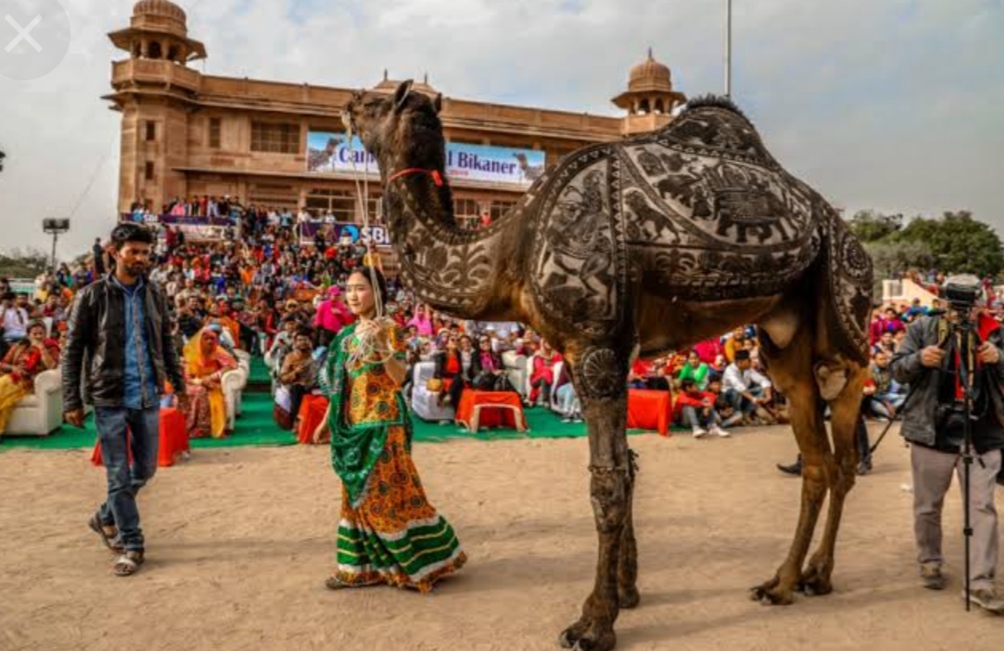 IMG 20220104 125904 ऊंट उत्सव नहीं होगा ! विभाग ने बैनर हटाए Bikaner Local News Portal बीकानेर अपडेट