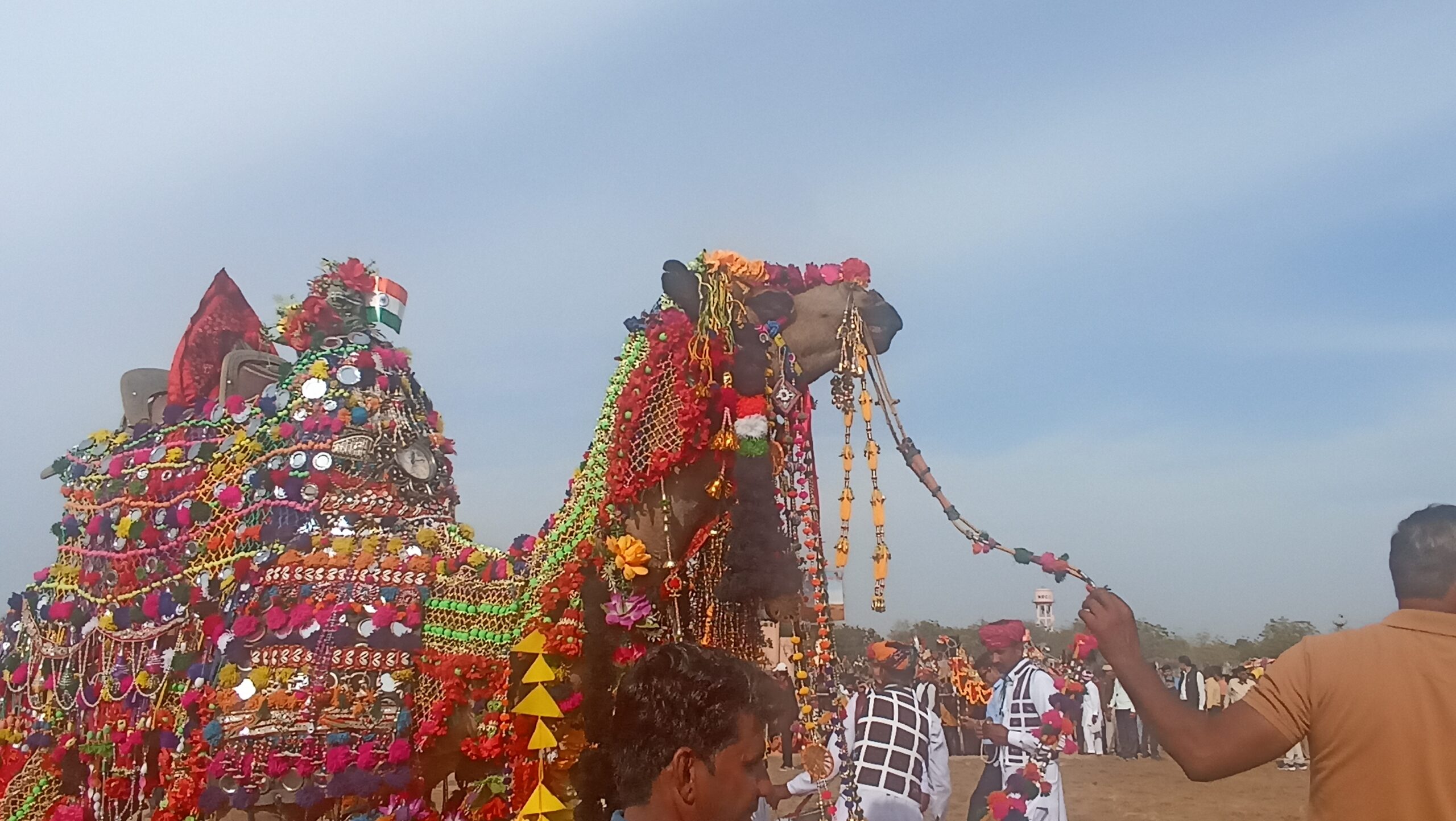 IMG 20220306 160958 scaled ऊंटों की मतवाली चाल ने दिल लूटा, उत्सव में खूब नाचे ऊंट Bikaner Local News Portal राजस्थान