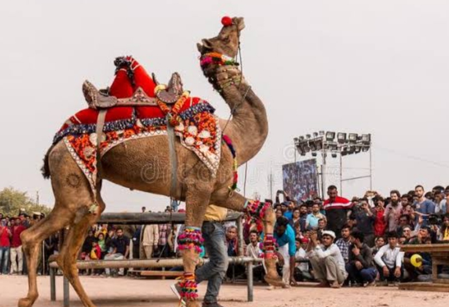 IMG 20221228 233648 बीकानेर में ऊँट उत्सव की शुरुआत ऐसे हुई, यूं हुआ पहला ऊँट उत्सव भाग-1 Bikaner Local News Portal पर्यटन