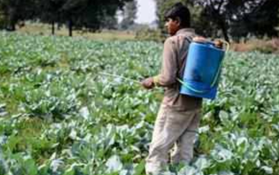 IMG 20230119 203129 भारत में आएगी कैंसर जैसी बीमारियों की सुनामी ! अमेरिका से जारी हुई डराने वाली रिपोर्ट Bikaner Local News Portal अंतरराष्ट्रीय