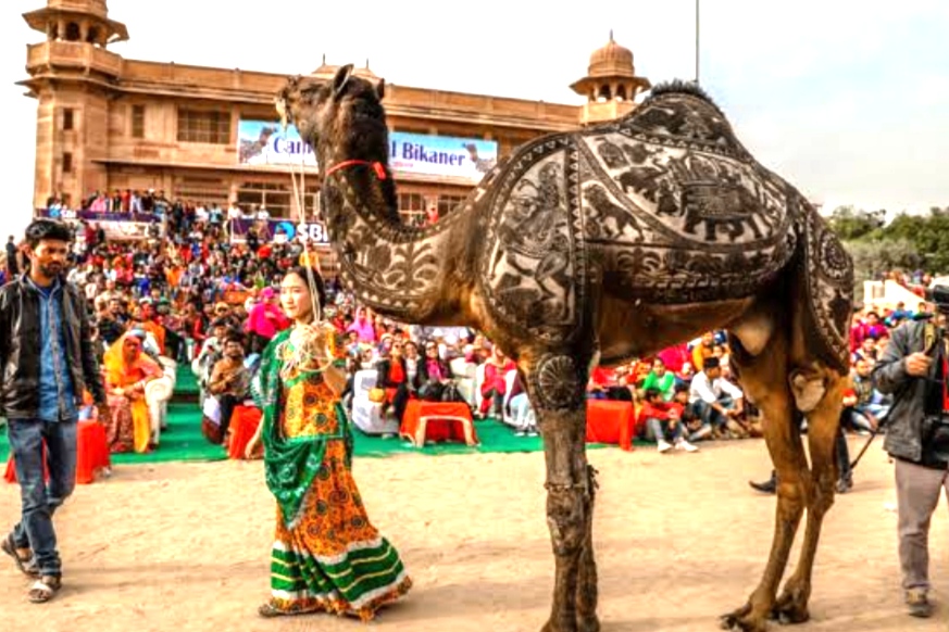 IMG 20240101 183937 2 <em>अंतर्राष्ट्रीय ऊंट उत्सव</em> शुक्रवार से, <em>हेरिटेज वॉक से होगी शुरुआत</em> Bikaner Local News Portal पर्यटन