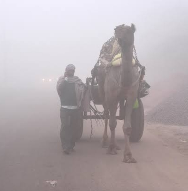 IMG 20240110 121431 2 भीषण सर्दी से इस दिन से मिलेगी राहत, मौसम विभाग ने बताए ये कारण Bikaner Local News Portal देश