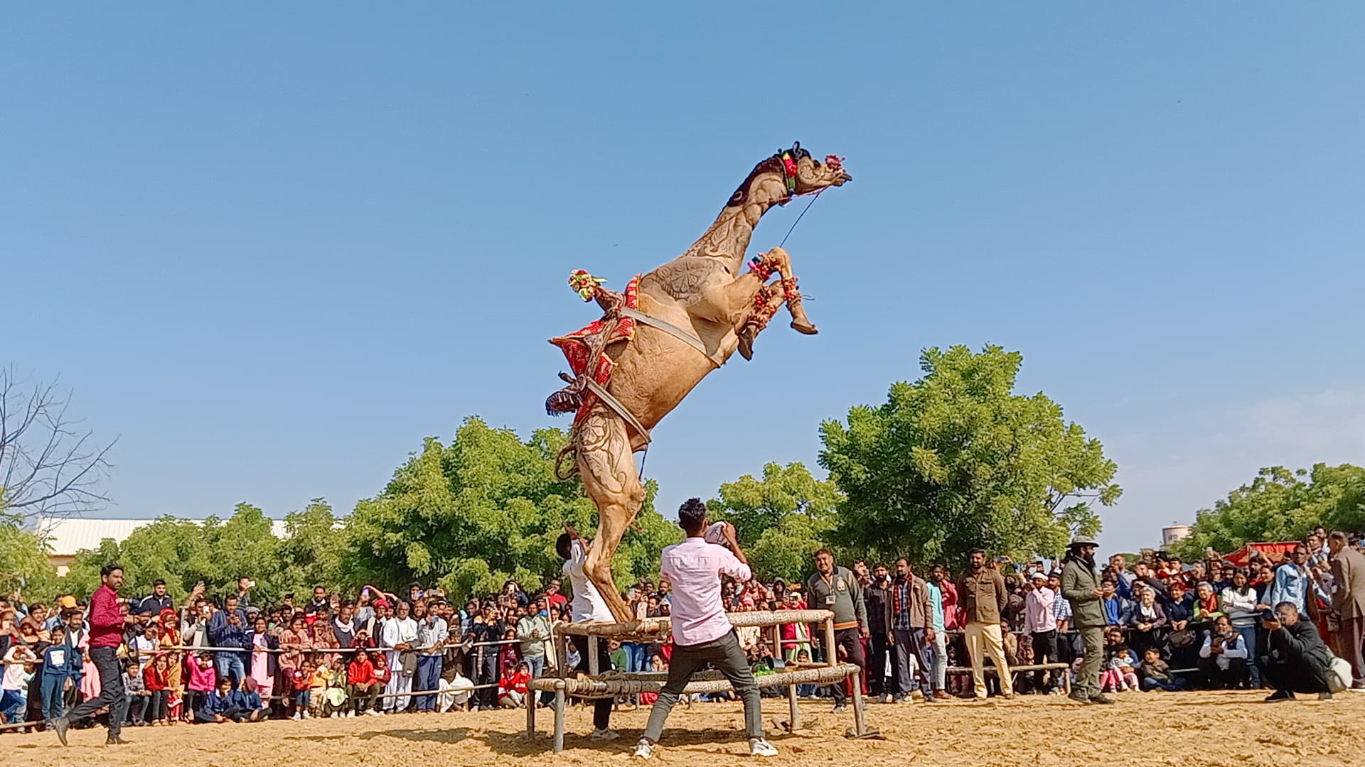 IMG 20250111 WA0025 ऊंट उत्सव में महक बनी मिस मरवण, योगेश मिस्टर बीकाणा, श्रवण व संजू ने जीता ढोला-मरवण का खिताब, देखें फ़ोटो Bikaner Local News Portal पर्यटन