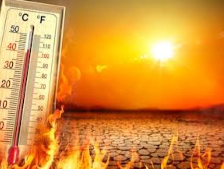 IMG 20250520 135711 3 48 डिग्री पहुंचा तापमान, हीट वेव चलेंगी, रहे सावधान Bikaner Local News Portal राजस्थान
