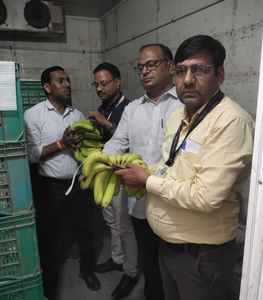 IMG 20250527 203502 350 किलो प्लास्टिक कैरी बैग किया जब्त , फल एवं सब्जी विक्रेताओं से लिए 88 नमूने Bikaner Local News Portal बीकानेर अपडेट