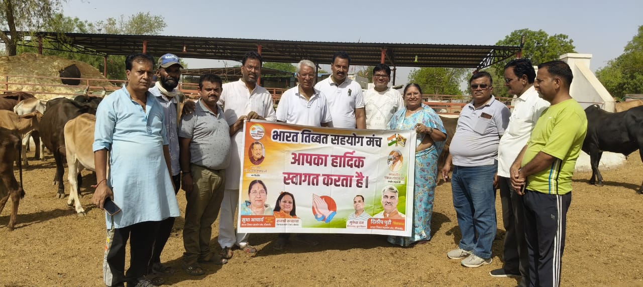 IMG 20250610 WA0029 हरा चारा खिलाकर, गौ माता का पूजन किया Bikaner Local News Portal धर्म