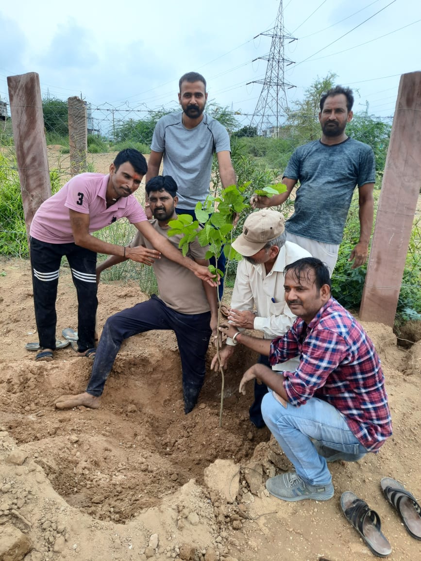 IMG 20250715 WA0029 तिलकनगर में पौधरोपण कार्यक्रम Rajasthan News Portal बीकानेर अपडेट