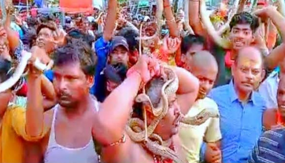IMG 20250717 161532 परम्परा : जहरीले सांपों को लेकर दौड़ने लगे लोग ! Rajasthan News Portal धर्म