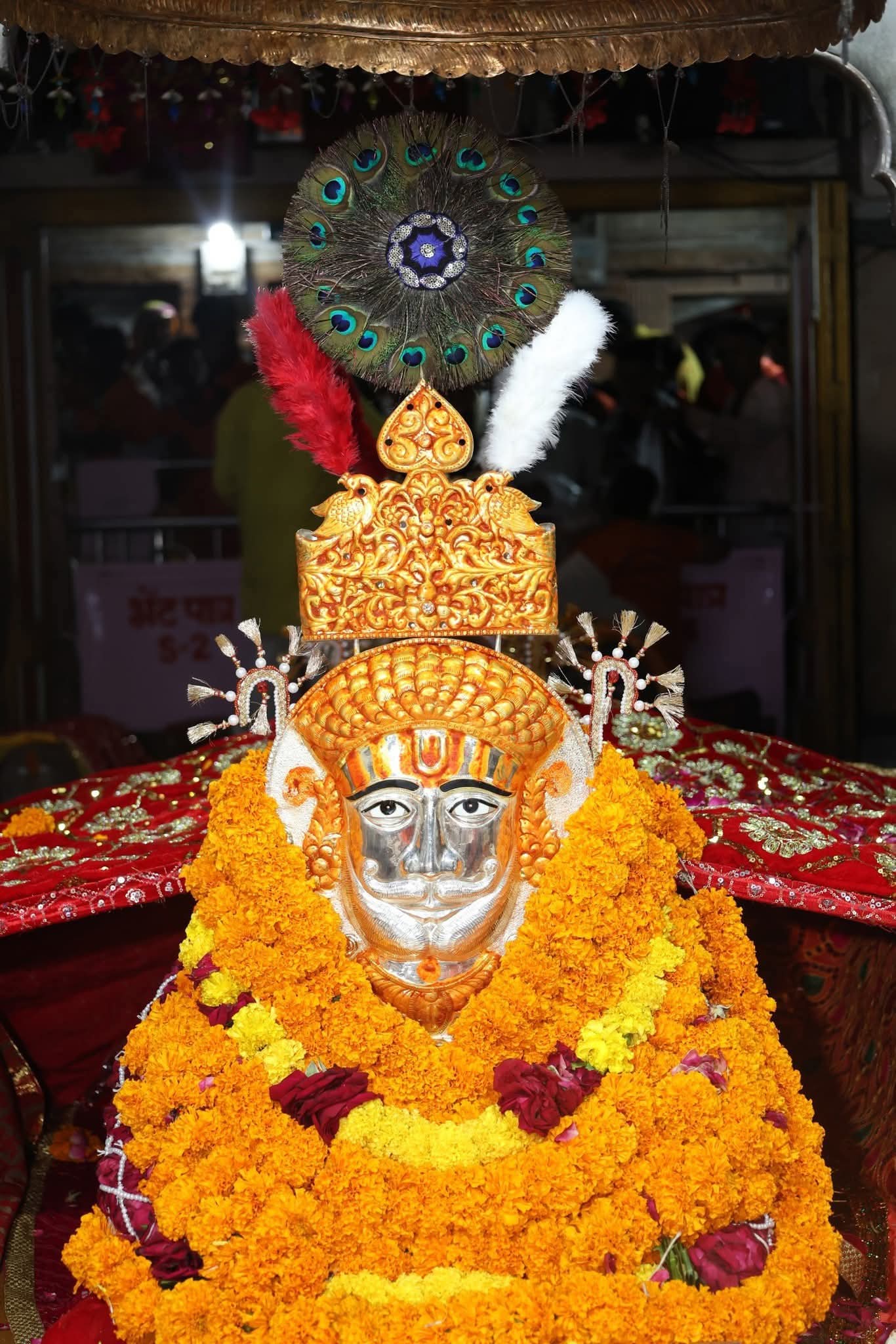 FB IMG 1755521168641 दम्माणी चौक स्थित बाबा रामदेव मंदिर में विशेष पूजा अर्चना, महाप्रसाद 2 सितबर को Rajasthan News Portal धर्म