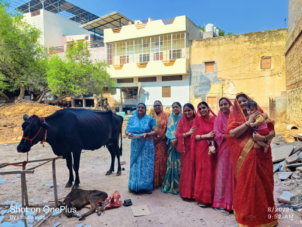 IMG 20250820 WA0031 बछबारस पर गाय व बछड़े की पूजा Rajasthan News Portal धर्म