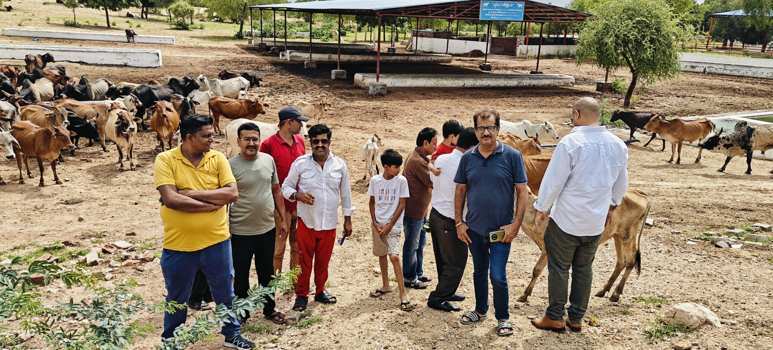 IMG 20250909 WA0015 scaled गायों को गुड़ व चारा खिलाया Rajasthan News Portal धर्म