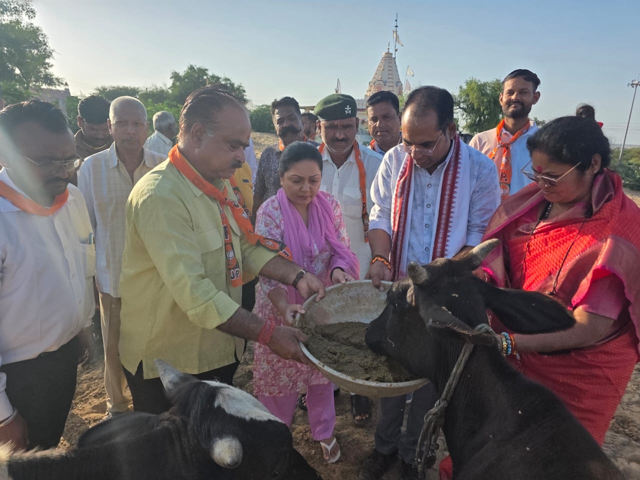 IMG 20250924 WA0025 भाजपा रानी बाजार मंडल द्वारा निराश्रित गोवंश की सेवा Rajasthan News Portal धर्म