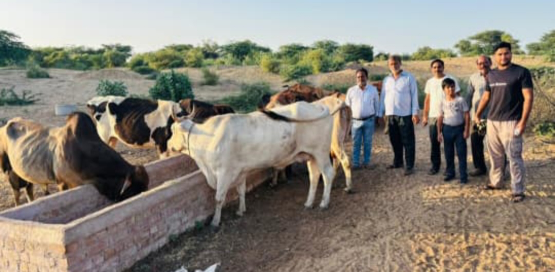 IMG 20250922 135722 गाय माता को चारा और लापसी खिलाई Rajasthan News Portal धर्म