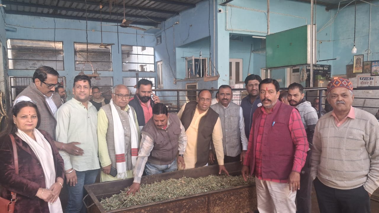 IMG 20251220 WA0006 केंद्रीय मंत्री अर्जुनराम के जन्मदिन पर गऊ माता को 5 क्विंटल लापसी ओर चारे का भोग लगाया Rajasthan News Portal धर्म