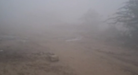 IMG 20251215 111511 सर्दी के सीजन में पहली बार छाया घना कोहरा Rajasthan News Portal देश