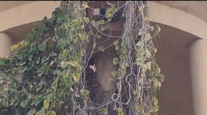 IMG 20260107 WA0003 बीकानेर में युवक पानी की टंकी पर चढ़ा Rajasthan News Portal राजस्थान