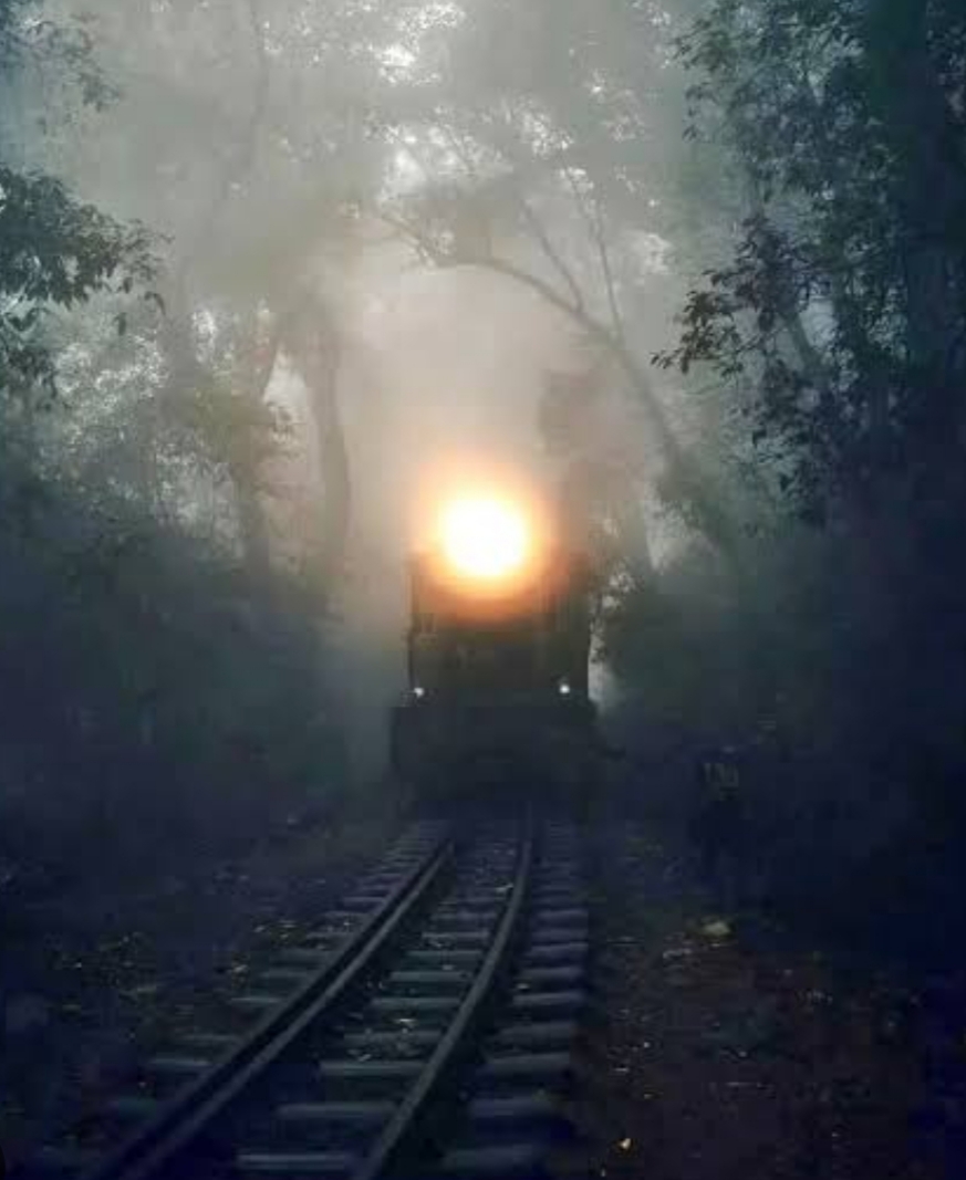 IMG 20260102 214055 31 जनवरी से फिर मौसम पलटेगा Rajasthan News Portal राजस्थान