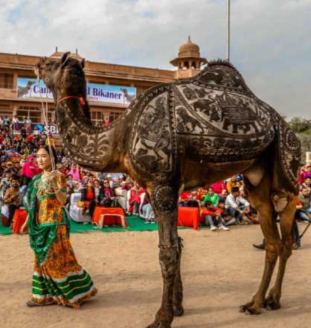 IMG 20260105 125139 ऊँट उत्सव में आज ये कार्यक्रम होंगे, रविवार को रायसर के धोरों में उत्सव, अग्नि नृत्य Rajasthan News Portal पर्यटन