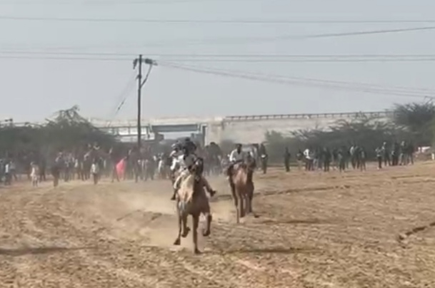 IMG 20260110 223126 ऊंट दौड़ के साथ ऊँट नृत्य ने जीता सैलानियों का दिल Rajasthan News Portal पर्यटन