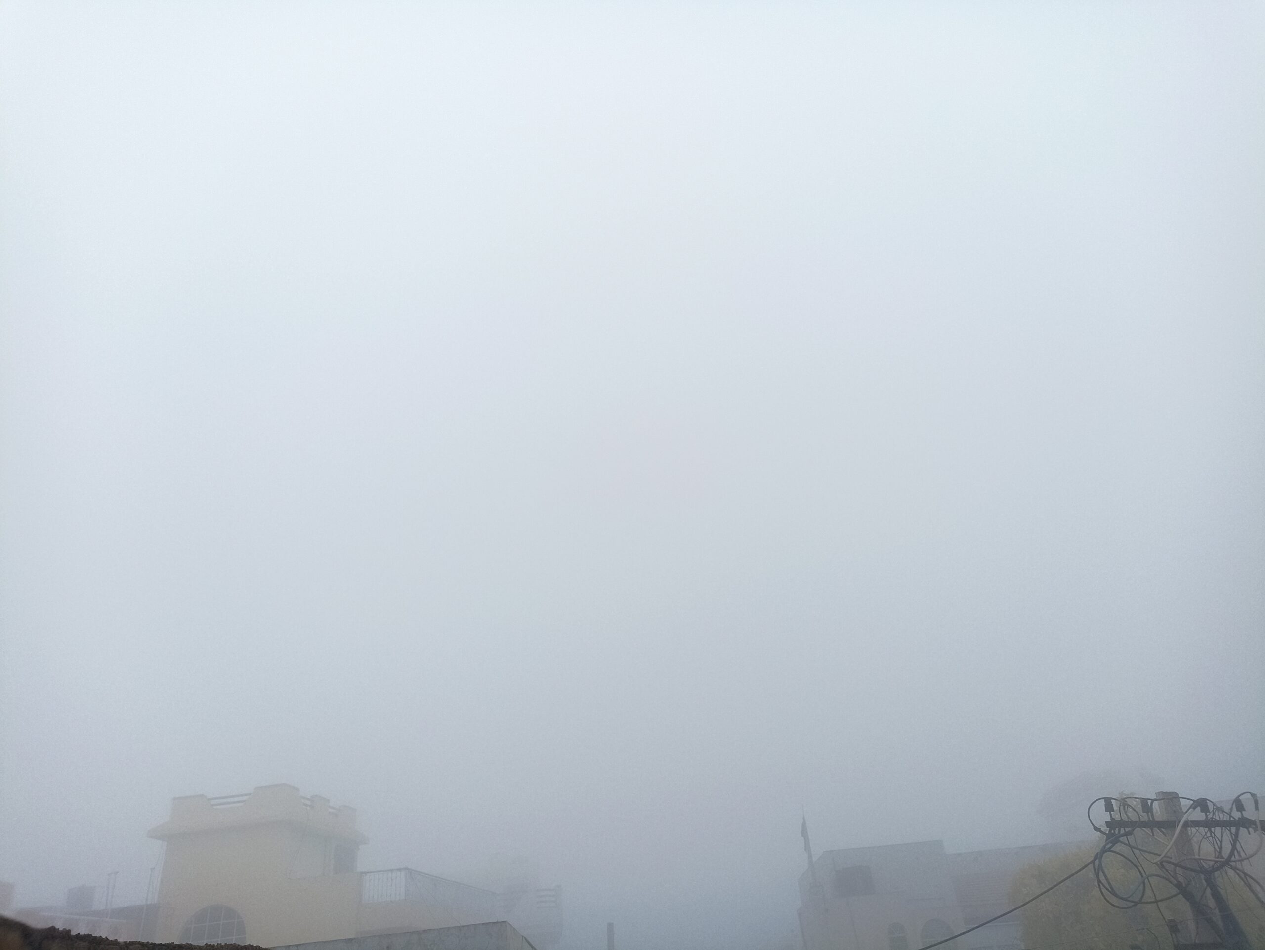 IMG 20260201 074958 scaled राजस्थान का बदला मौसम, बारिश, ओले, कोहरे का सितम Rajasthan News Portal राजस्थान