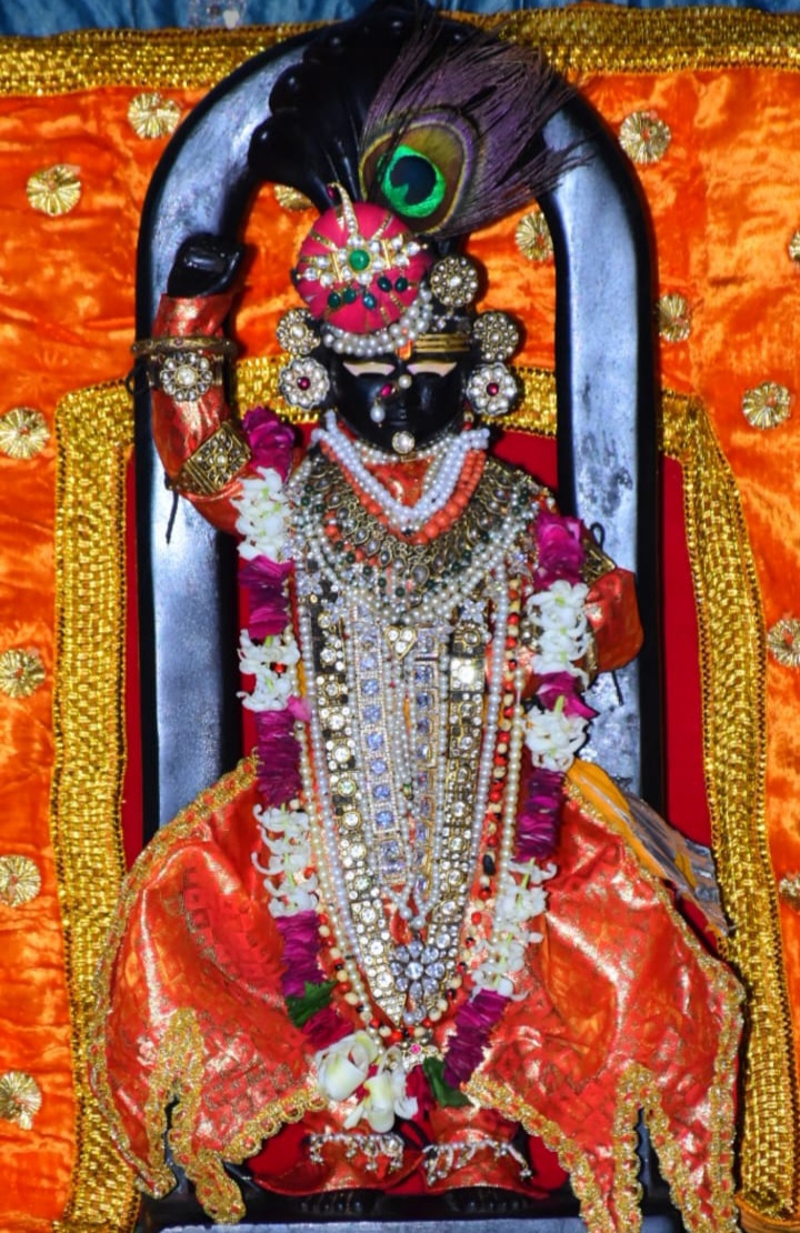 IMG 20260219 130743 श्री दाऊजी प्रभु का 121वां पाटोत्सव 19 से 21 फरवरी तक Rajasthan News Portal धर्म