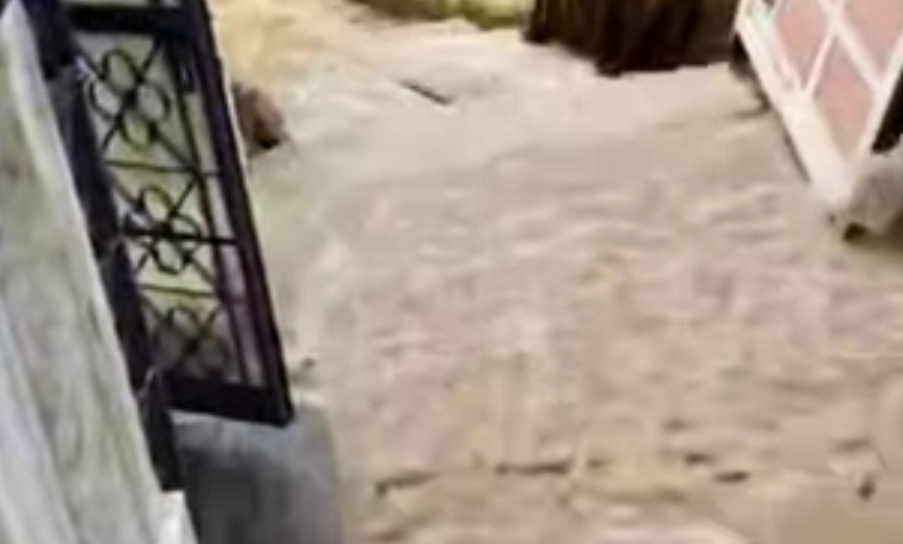 IMG 20260317 131352 बीकानेर : लक्ष्मीनाथ घाटी क्षेत्र में पानी की पाइपलाइन टूटी, घरों में पानी Rajasthan News Portal बीकानेर अपडेट