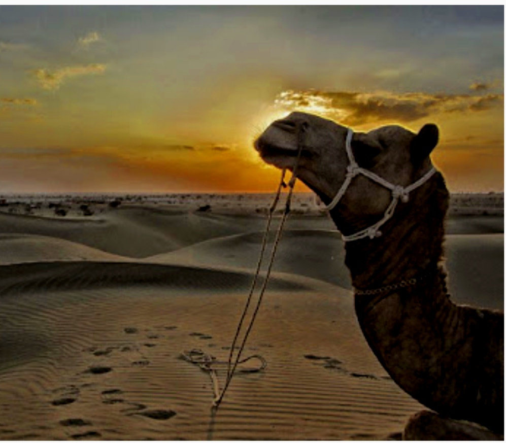 IMG 20260317 120124 मौसम में होगा बदलाव, इस दिन से बारिश व आंधी Rajasthan News Portal राजस्थान