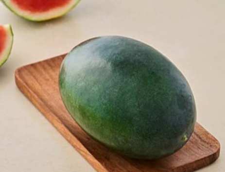 IMG 20260429 091349 तरबूज मिलावटी या जहरीला जानलेवा तो नहीं? ऐसे करें पहचान, चिकित्सक ने 4 जनोँ की मौत की वजह बताई Rajasthan News Portal देश