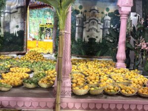दाऊजी मंदिर में आम मनोरथ की छटा, भक्त उमड़े