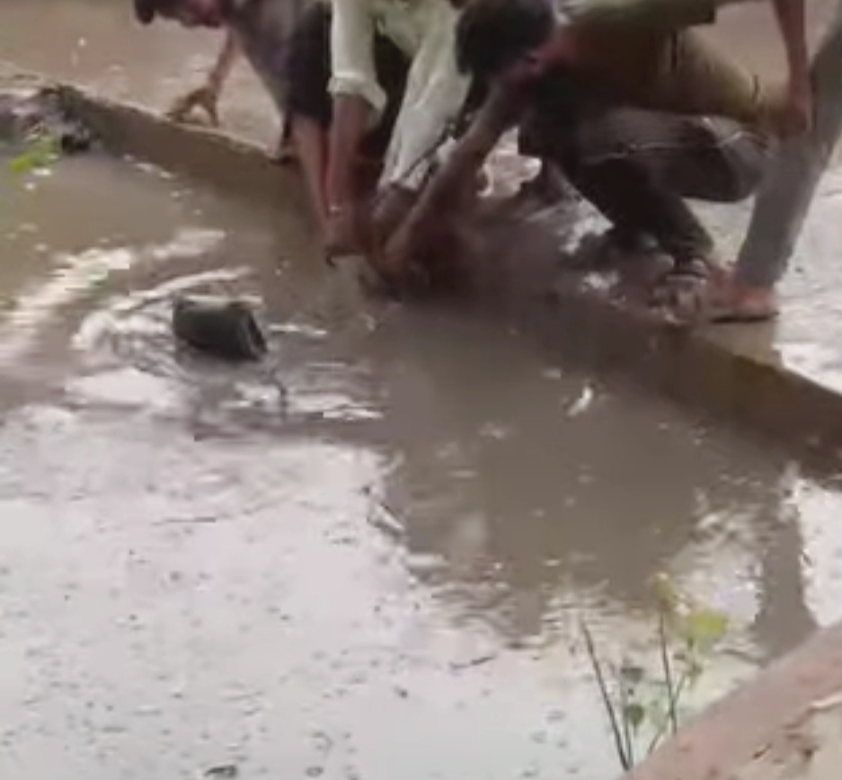 IMG 20260723 204554 बीकानेर में स्कूटी सवार नाले में गिरा Rajasthan News Portal देश