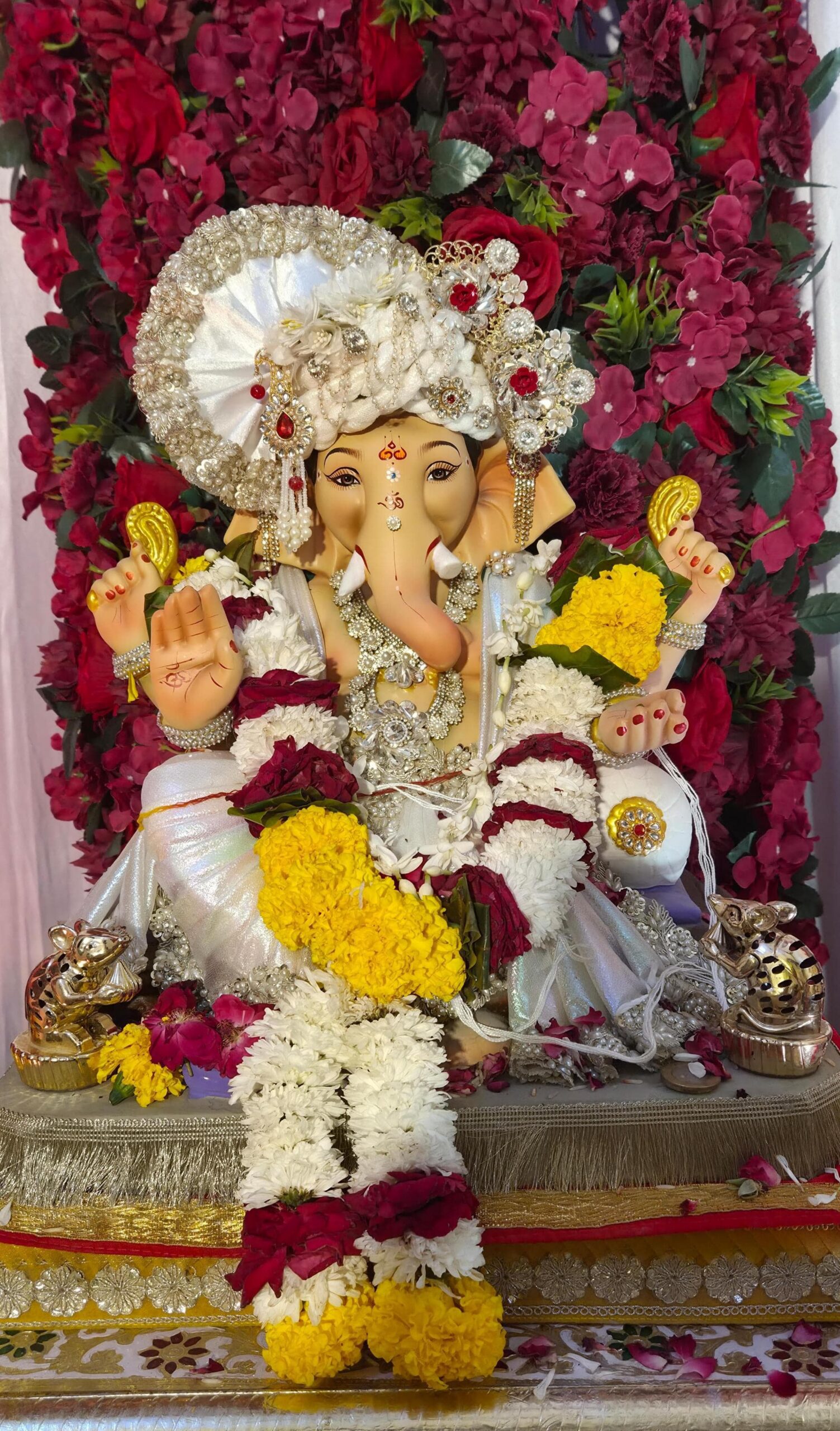 SAVE 20260914 190403 scaled भाजपा नेता डॉ. आचार्य के निवास पर ईको फ्रेंडली बाल गणेश प्रतिमा की स्थापना Rajasthan News Portal राजस्थान