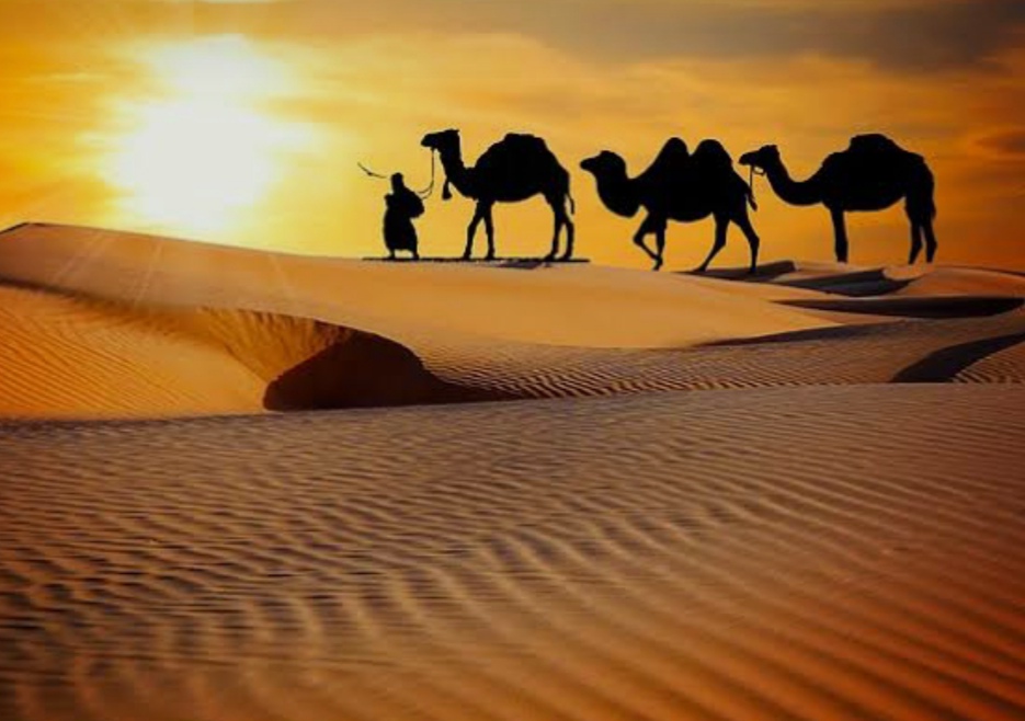 IMG 20261019 141110 अंतर्राष्ट्रीय ऊंट उत्सव 8 से Rajasthan News Portal राजस्थान